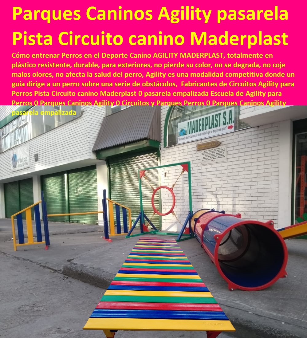 Fabricantes de Circuitos Agility para Perros Casas Para Perros Y Mascotas, Agility De Perros, Pistas De Adiestramiento, Caninos Para Perros, Equipo De Agility Para Perros, Cunas Y Parideras Para Perros, Parques Para Perros, Corrales Para Perros, Jaulas cuidado de perros, Pista Circuito canino Maderplast 0 pasarela empalizada Escuela de Agility para Perros 0 Parques Caninos Agility 0 Circuitos y Parques Perros 0 Parques Caninos Agility pasarela empalizada Fabricantes de Circuitos Agility para Perros Pista Circuito canino Maderplast 0 pasarela empalizada Escuela de Agility para Perros 0 Parques Caninos Agility 0 Circuitos y Parques Perros 0 Parques Caninos Agility pasarela empalizada